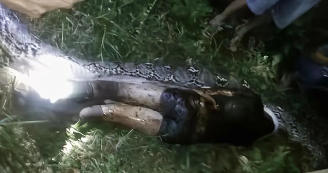 2006年真龙吃人是真的吗，一个人被蟒蛇吞进肚子里，为什么手里有刀，也无法破腹逃出来