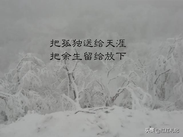 有什么句子让你莫名心酸伤感，句句扎心，红了眼眶