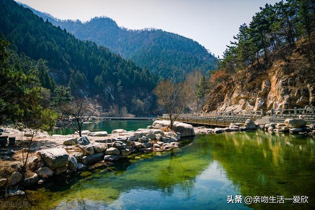 不爽狗图片:狗对人很忠诚，为什么还有很多人非常讨厌狗？问题出在哪里？