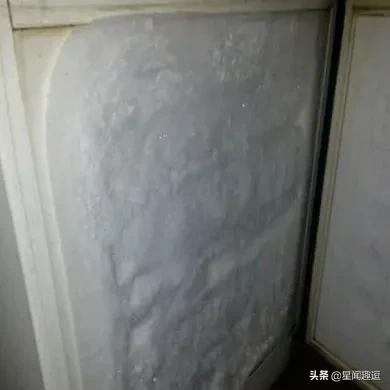 出远门时，为什么要给冰箱里放一枚硬币？插图23