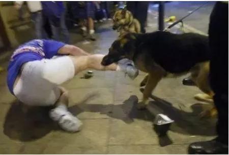 重庆藏獒伤人:如何看待福建漳州七旬老人被恶犬撕咬至死，狗主仅愿赔10万？