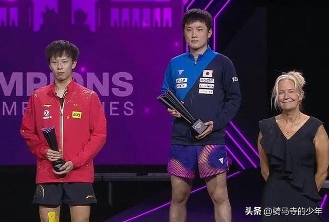 鬼脸藏獒在线免费阅读:藏獒到底做错了什么？被人类如此抹黑？
