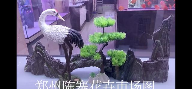 都说人的命天注定,你信吗？
