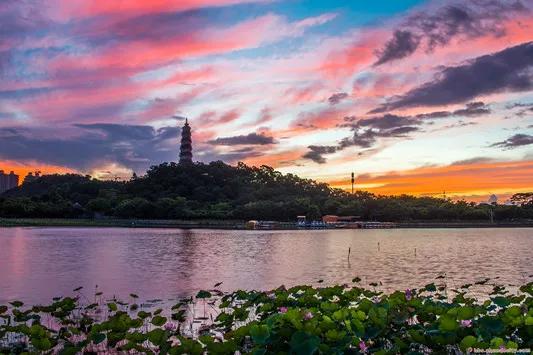 佛山最美的公园有什么推荐吗?