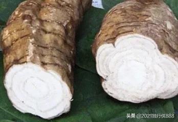 葛根壮阳吗，广东人煲汤用的一种材料叫“粉葛”，普通话叫啥是什么植物