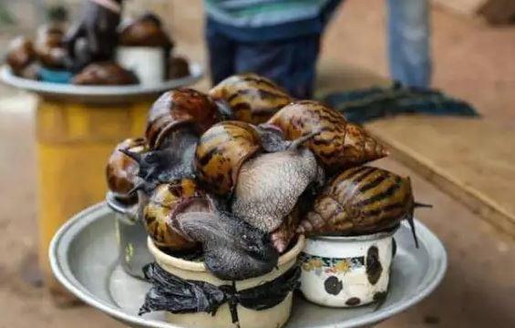 非洲人一般都吃什么呢？插图35