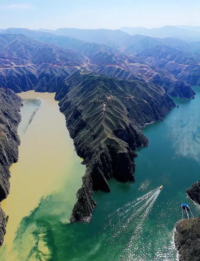 淡水鱼种类以及图片:黄河每天将鱼冲入大海，淡水鱼在海中无法存活，这些鱼都去哪了？