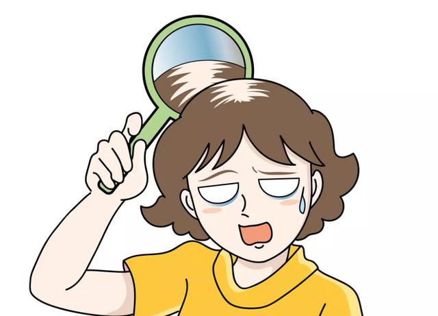 经常掉头发是什么原因女性为什么女的经常掉头发但很少有人秃顶