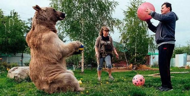 俄罗斯人莱卡犬狩猎:俄罗斯宇航员莱卡还在地球上空漂浮吗？这种例子多吗？