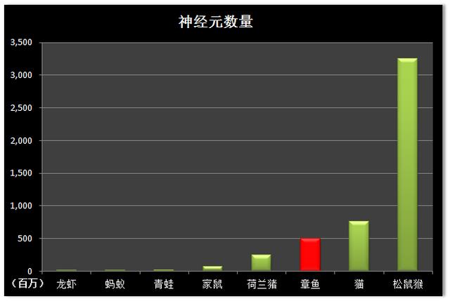 章鱼智商能与人相比是真的吗 ，章鱼是世界上最聪明的生物，要是章鱼能在陆地生活，能否取代人类