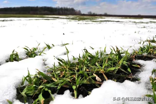 2021年灾难，2021年的冬天，河南会连续出现大雪天气吗