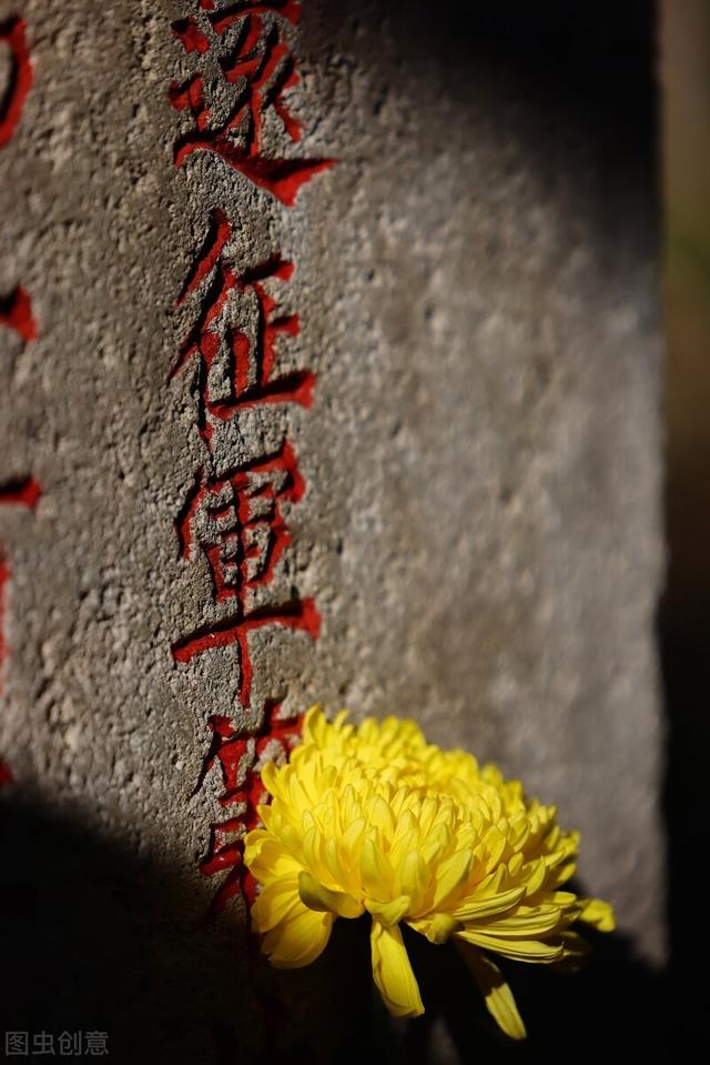 看了七八遍的电视剧:哪部电视剧，是你看了三遍还是不厌其烦的