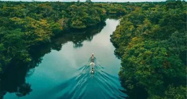 bbc纪录片亚马逊，亚马逊河相比尼罗河厉害在哪为何沿岸无人敢下水逗留和游泳