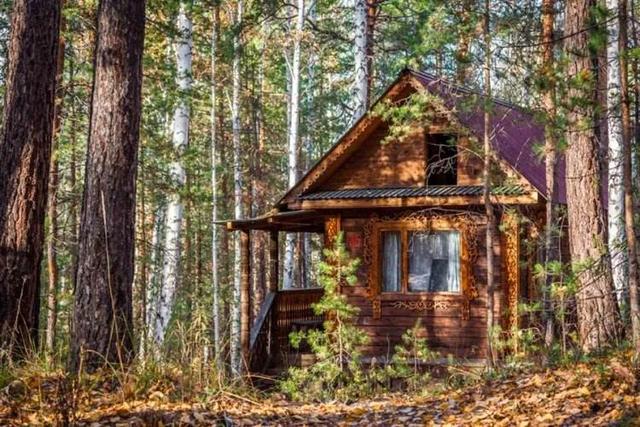 世界森林双倍扩大会怎样，俄罗斯森林中有很多小木屋，但为什么都说不要轻易进去