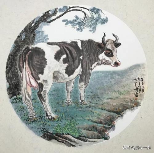 是羊大一点还是狗大一点极速:巨型泰迪多少钱一只？好养吗？
