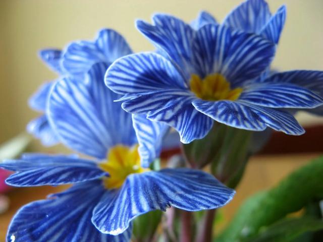 你记忆中儿时的谣歌都有哪些？插图6