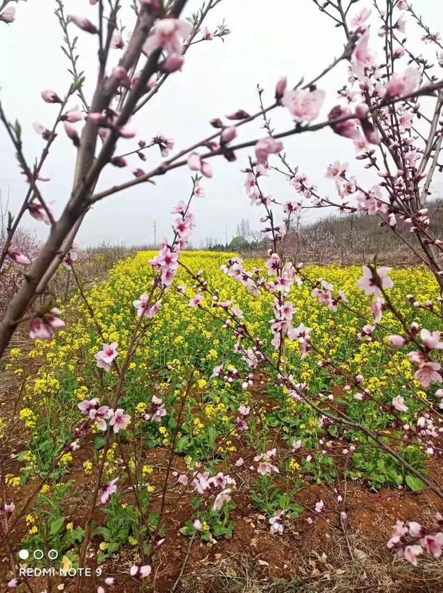 头条长期没有收益，你会感到焦虑吗