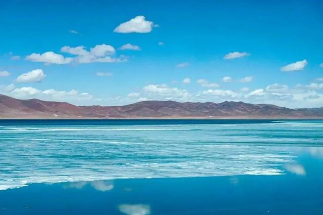 淡水鱼种类以及图片:黄河每天将鱼冲入大海，淡水鱼在海中无法存活，这些鱼都去哪了？