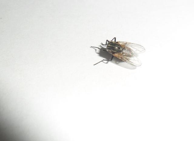 搓手猫:我是一名教师，工资很低，一个月三千不到我还要不要坚持下去？ 搓手猫表情包