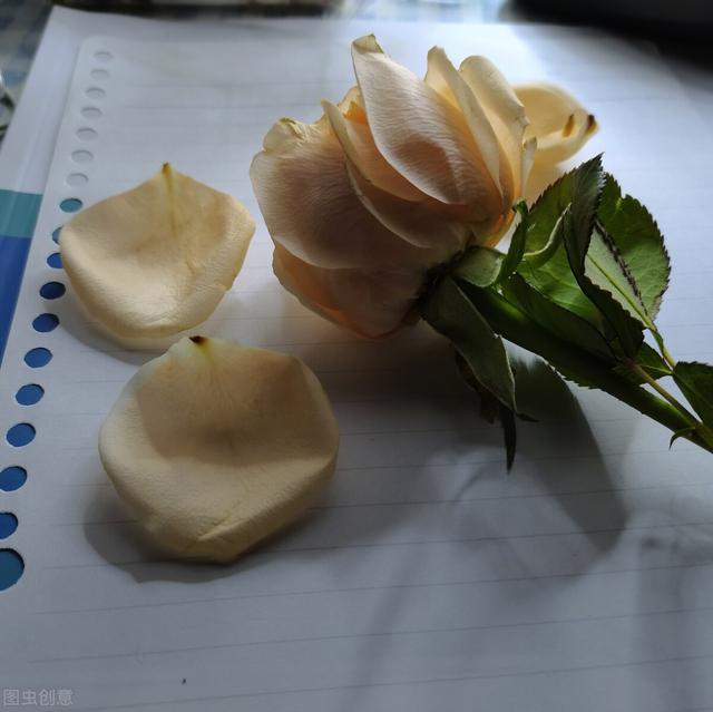 孙侨潞家里有钱吗:一个孩子考上大学家里要准备多少钱呢
