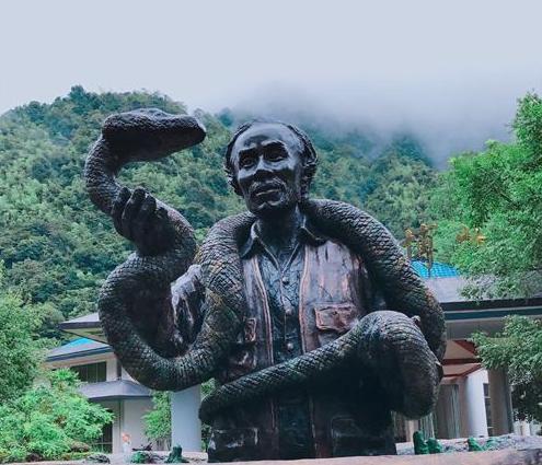 变种太攀蛇:中国有50多种毒蛇，你认为排名前十的毒蛇是哪些？
