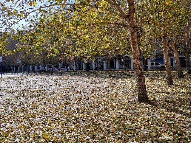 有哪些经典到无法超越的电视剧？插图6