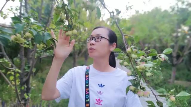请问，你们来到这个世界尝尽了人世间的酸甜苦辣咸，感谢父母吗？