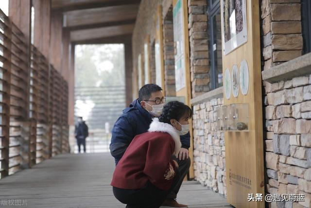 李亚鹏真挖走李子柒团队吗，李子柒与微念将对簿公堂，是微念吃相难看，还是李子柒要求太多