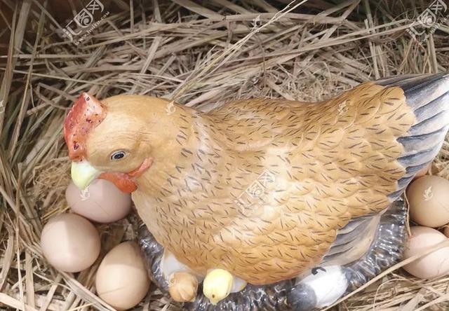毛鸡蛋是什么，你吃过毛鸡蛋吗，它到底有什么营养价值