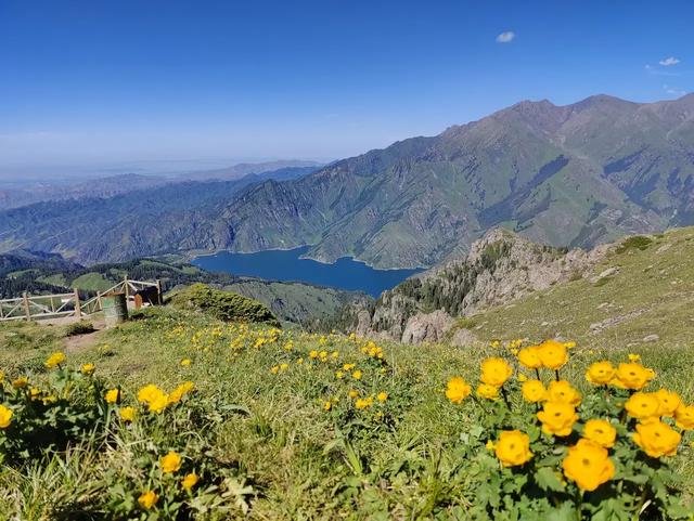 高山金翅雀图片:有没有在新疆天山天池拍的照片，可以分享一下吗？