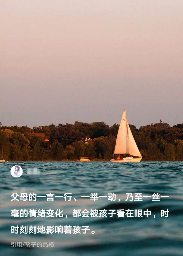 宠必达app官网:孩子写完作业能让玩会手机吗？