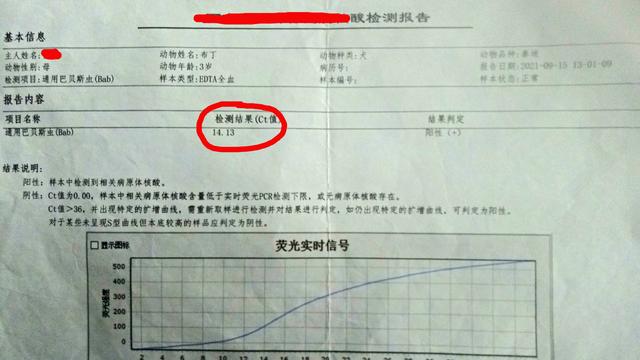 狗的寄生虫病的症状:请问狗狗得了巴贝斯虫症，服用阿托伐醌安全有效吗？