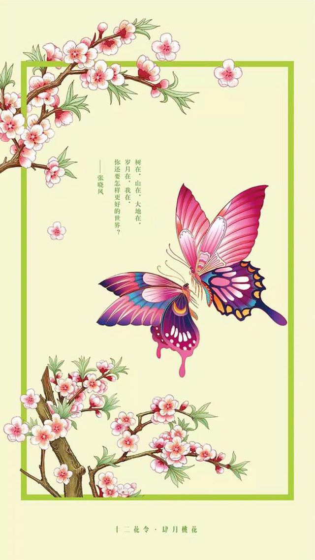 做自媒体有多辛苦呢？