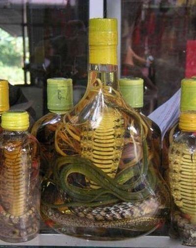 一男子抓到一只龙泡酒的真相，泡酒的蛇为什么过了很长时间还会咬人呢