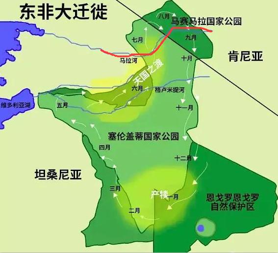 花清丹滋养型有排泄物:河马的粪便有多厉害，能憋死成千上万的鱼儿？