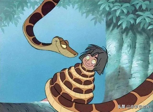 眼睛大王蛇有毒吗:眼镜蛇为什么不是百蛇之王？它的毒性不是很强吗？