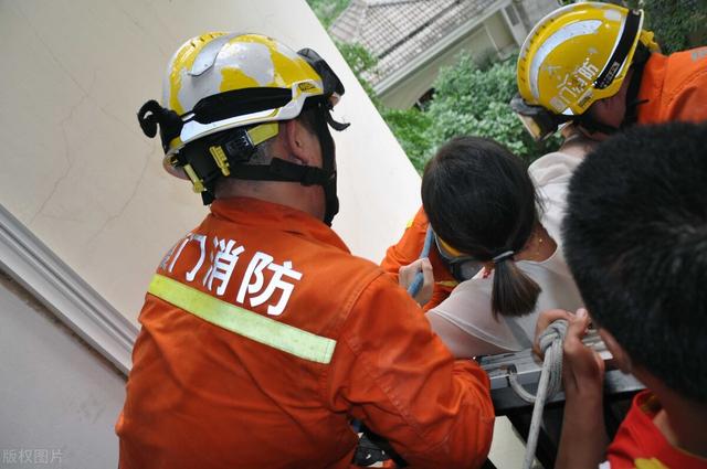 上海消防员救狗跳粪坑:你觉得消防员应该救猫吗？