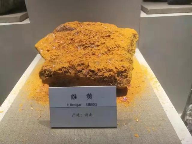 黑曼巴蛇的天敌:蛇最怕什么？在野外碰到蛇该怎么做呢？
