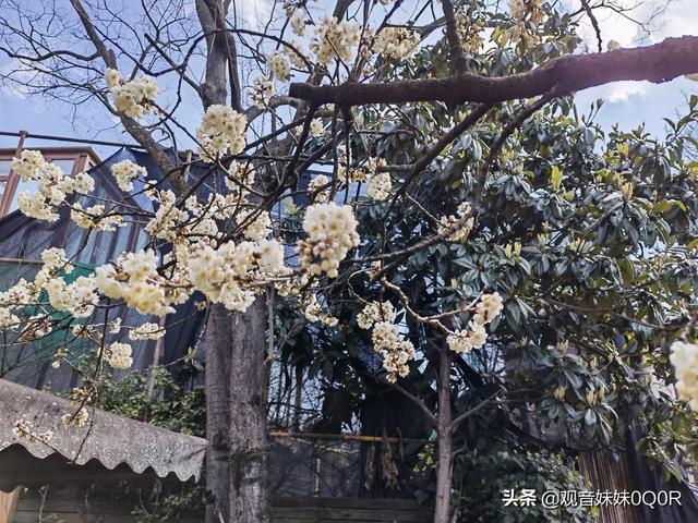 27岁的女孩子,朋友多、三观正,但没有谈过恋爱,也没有人追过,这是为什么？