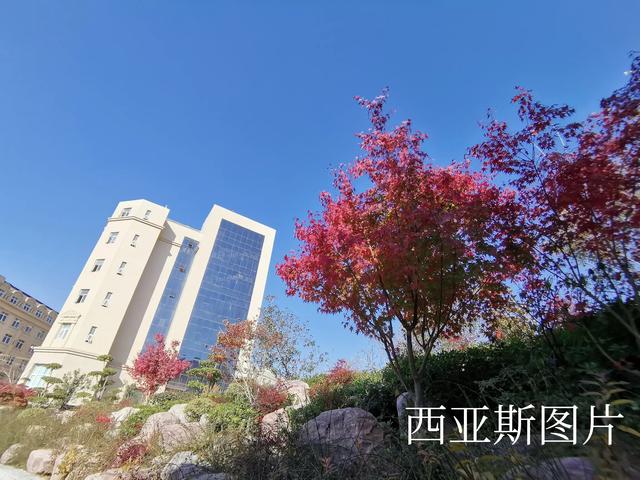 神童辉:有哪些著名相声小品演员是武汉人？