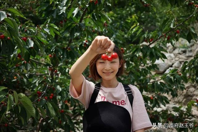 智利为什么被称为南美小霸王？
