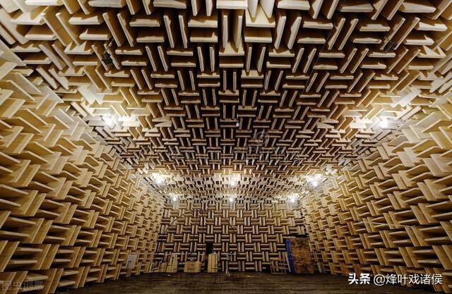 为什么有人说很少有人能在绝对静音无声的密室里撑过1小时？插图32