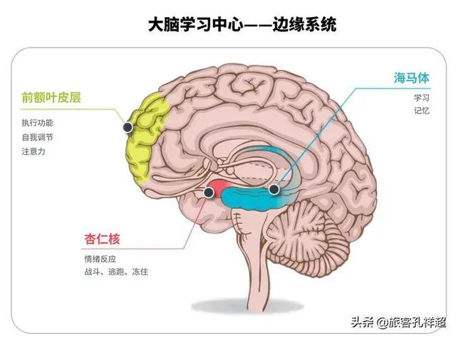智商高但是记忆力差是怎样的体验