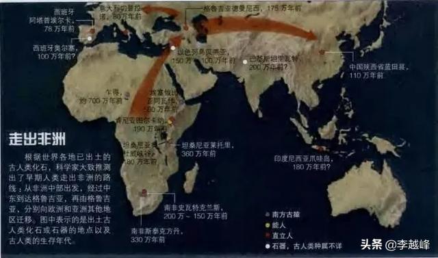 波美拉尼亚犬的体格特征:从进化论上说，白人体型，为什么比亚洲人、中国人高大？