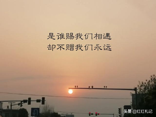 有哪些你第一眼就钟情的佳句