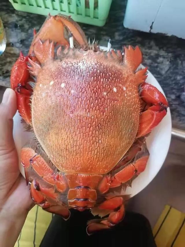 工作之余,有什么兼职可以做呢？