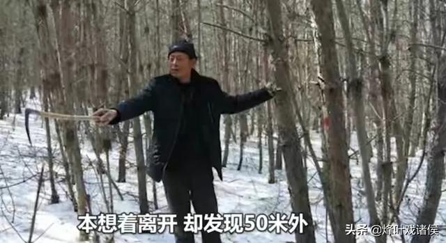 何广位:武松徒手打死老虎，现在科学家却证实不可能，老虎死的冤吗？