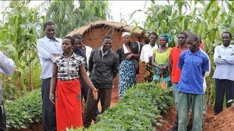 非洲土地广袤，为什么那里的人不种地，他们吃什么？插图55