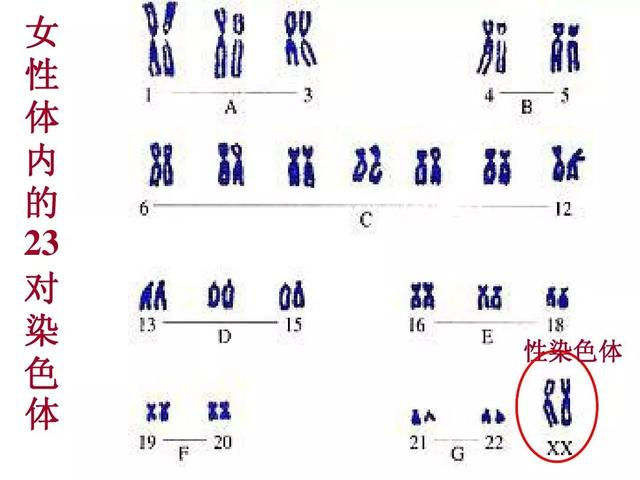 不过是一个姓氏而已,为什么这么多人难以接受孩子“随母姓”？