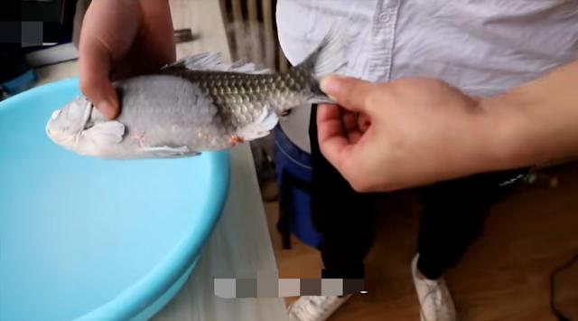 柳州宠物网雪国赏:如何看待广西柳州一司机压死宠物狗，又赔钱又向狗道歉？